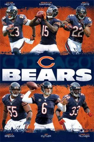 Chicago Bears - Team NFL 2013 Sports Poster RP2395 22x34 UPC017681023952