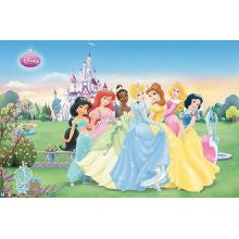 Disney Princess Collection Poster 22x34 RP6681