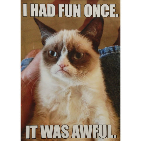 Grumpy Cat - Fun Wall Poster 22x34 RP13039 UPC882663030392