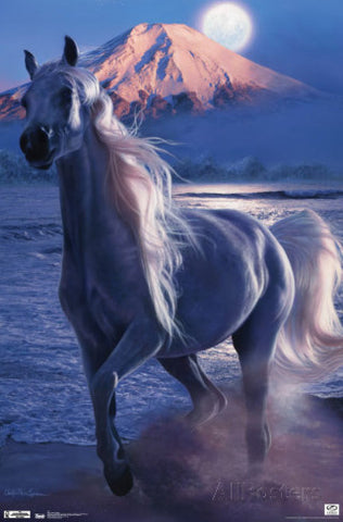Horse – Imperial Majesty Poster 22x34 RP5308