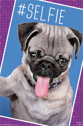 Pug - Selfie Poster 22x34 or 23.5x35.5 RP13860 UPC882663038602