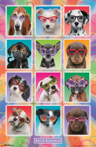 Puppies - Sunglasses Wall Poster 23x34 RP14919 UPC882663049196