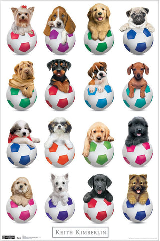 Puppy - Sports Poster 22x34 RP1208 Keith Kimberlin UPC017681012086