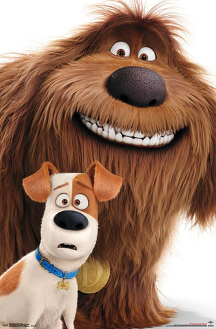 Secret Life of Pets - Duo Movie Poster 23x34 RP14453 UPC882663044535