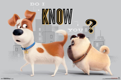 Secret Life of Pets - Sniff Movie Poster 23x34 RP14452 UPC882663044528
