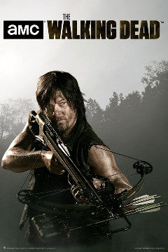 The Walking Dead Daryl TV Show Poster 22x34 #3175