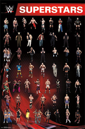 WWE - Grid 14 Sports Poster 22x34 RP13459 UPC882663034598