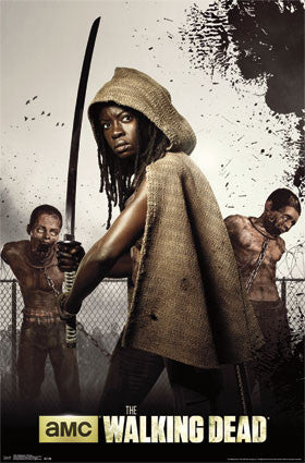 The Walking Dead - Michonne TV Show Poster 22x34 RP13566 – Mason