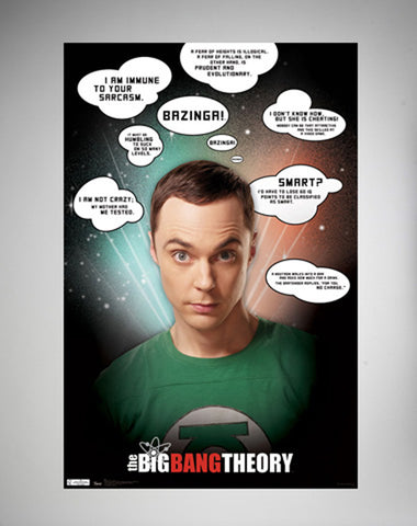 The Big Bang Theory – Quotes Poster 22x34 RP5626  Used