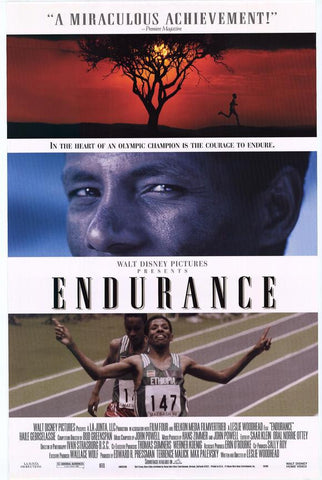 Endurance Movie Poster 27x40 (1999) Used Disney