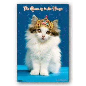 Kitten – Queen Poster 22x34 RP1207
