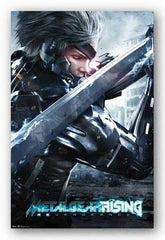 Metal_Gear_Rising_Blade_Game_P