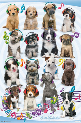 Puppy - Headphones Poster 22x34 RP5767 UPC017681057674