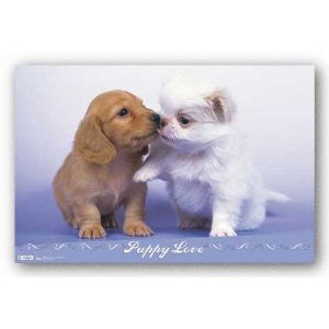 Puppies – Kiss Poster 22x34	 RP1355