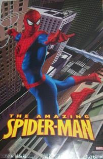 The Amazing Spider-man #1 20x30 used Movie Poster – Mason City  