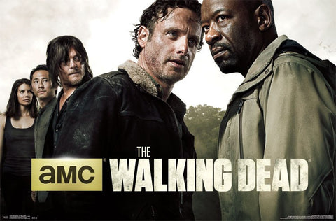 Walking Dead - Season 6 Teaser TV Show Poster 22x34 RP14339 UPC882663043392