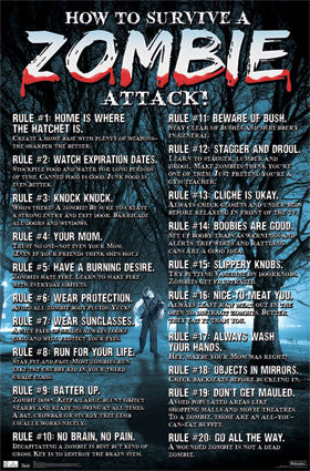 Zombies – How to Survive Poster 22x34 RP1104 UPC017681011041